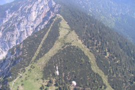 Predax30.05.0216.jpg
