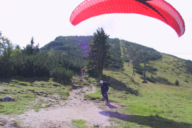 Predax_15.08.02-12