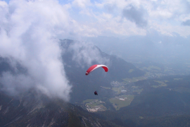 Predax_20.07.02-04