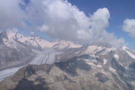 116-1695_IMG