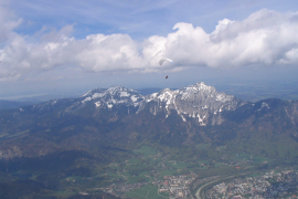 Predax_004