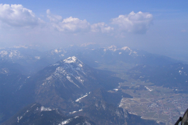Predax_010