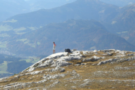 CIMG2134