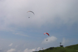 IMG_1049