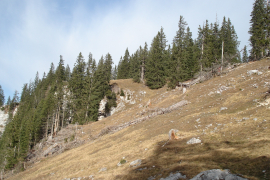DSC08997