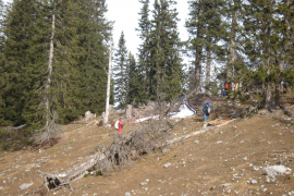 DSC09002