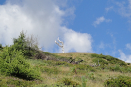 DSC00533