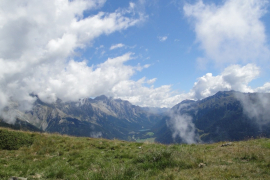 DSC00537