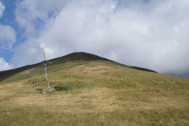 DSC00549