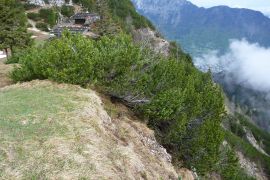 P1000338