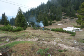 P1000341