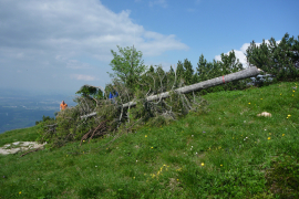 P1000622