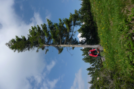P1000624