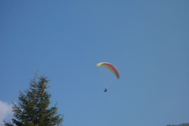 P1000638