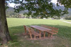 2010 Tisch Weitwiese