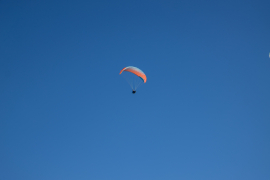 20250919-IMG_3647