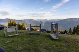20250920-IMG_3966
