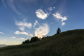 20250920-IMG_3968