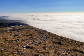 IMG_0451-GSC-Galerie