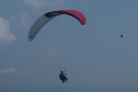2010-CM-P1000677