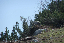 DSCF0411